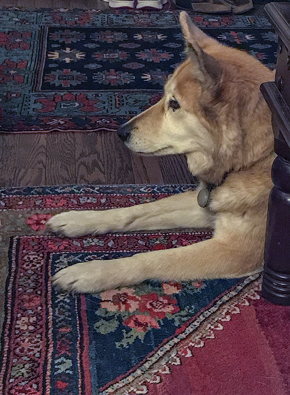 Waiting for leftovers