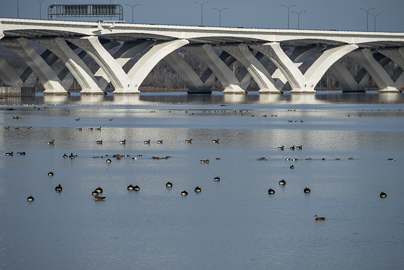 Woodrow Wilson drawbridge and residents