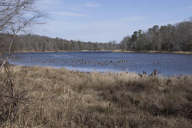 Patuxent Wildlife Research Center