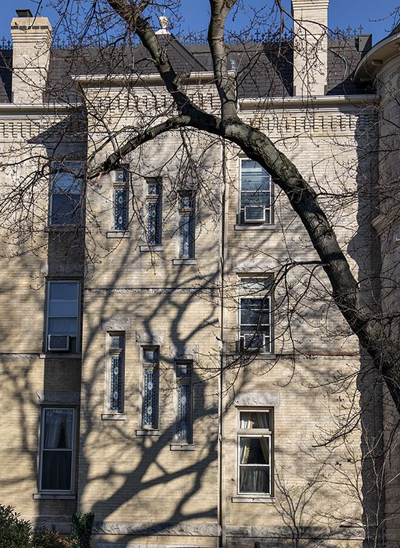 Late afternoon on Capitol Hill