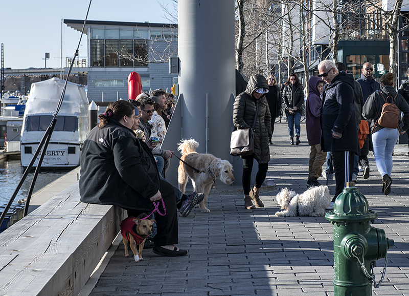 Encounter at District Wharf