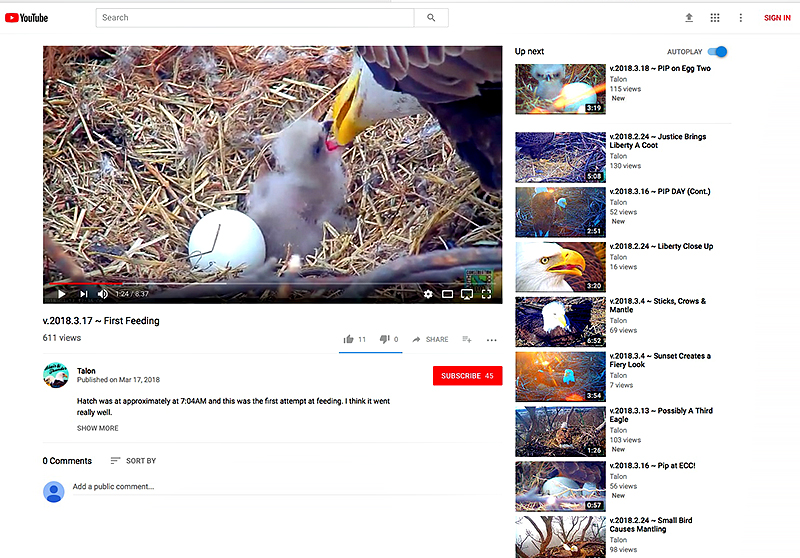 First feeding