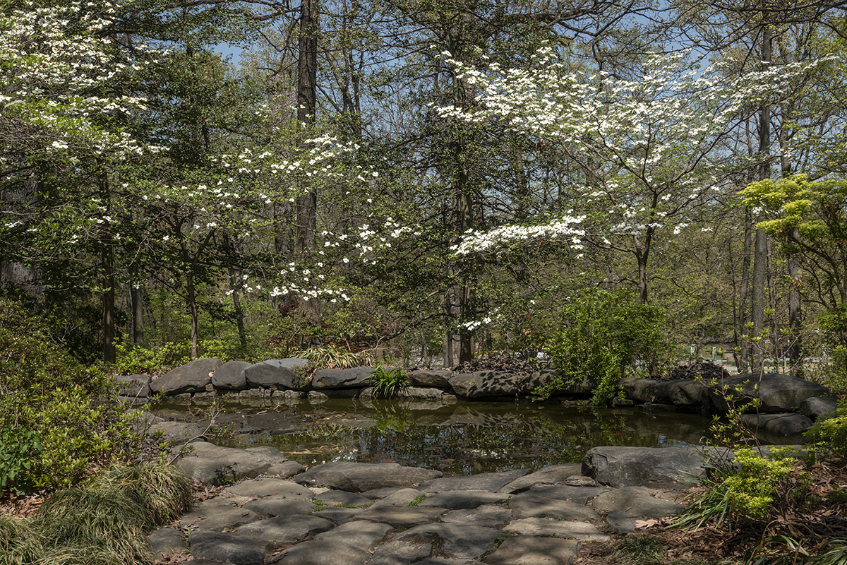 Lee Garden