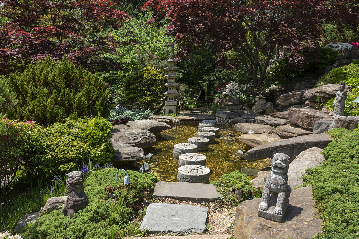 Steps across the water