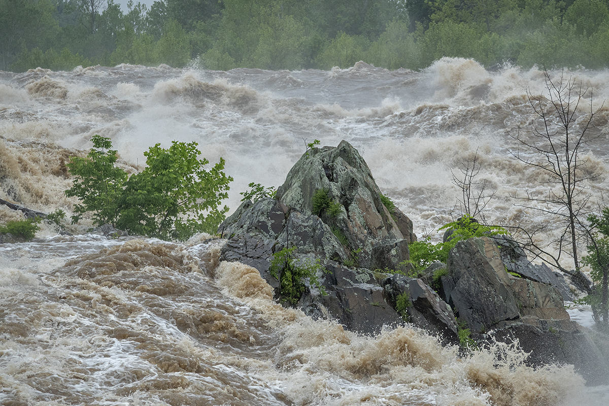 Oasis in a raging river