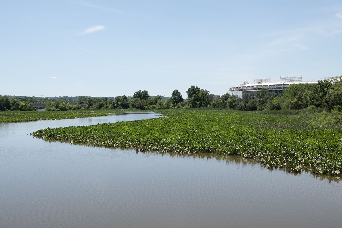 Kingman wetlands, RFK Stadium