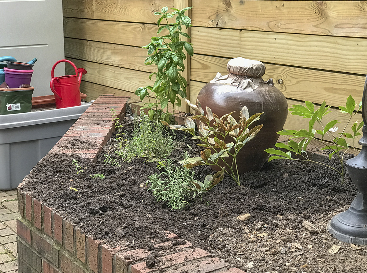Sahraas landscaping efforts