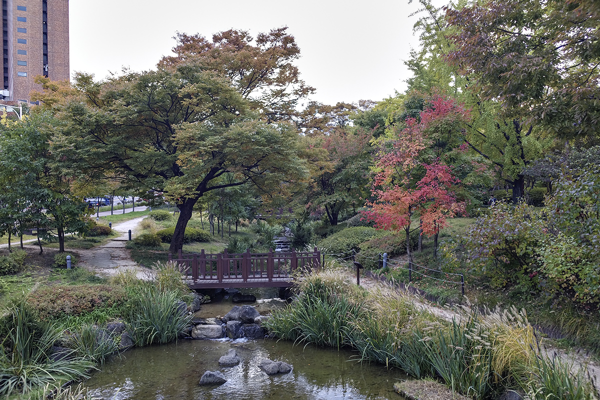 Park in Seoul