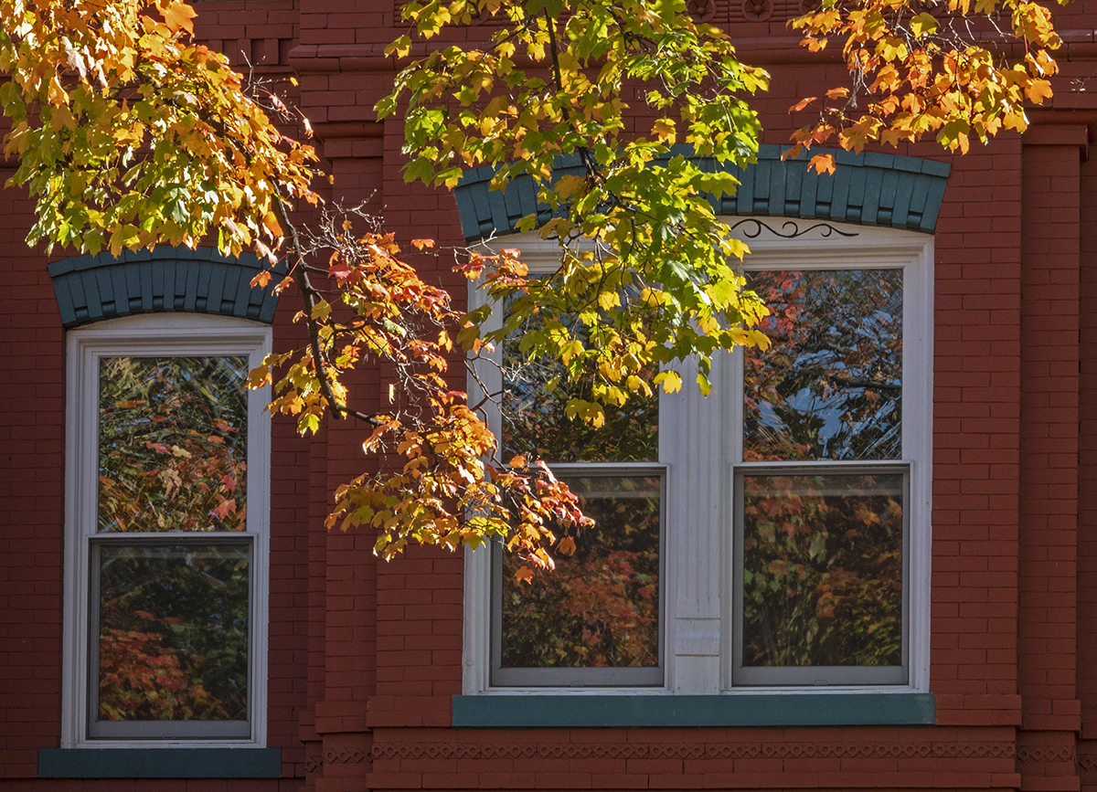Fall reflected