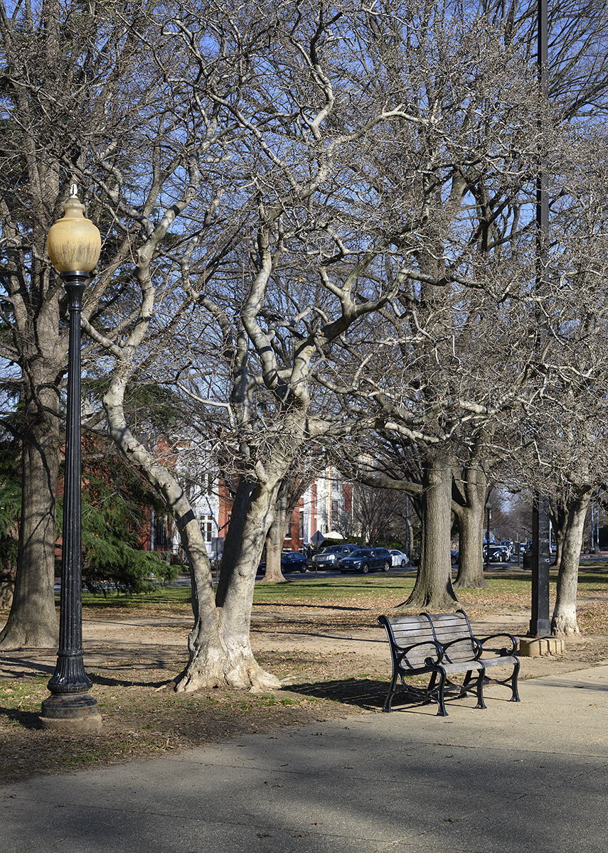 Lincoln Park in winter