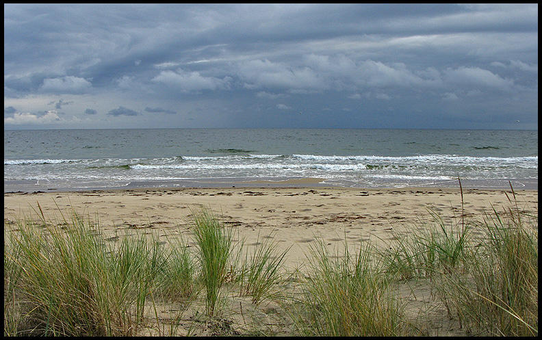 Baltic coast.jpg