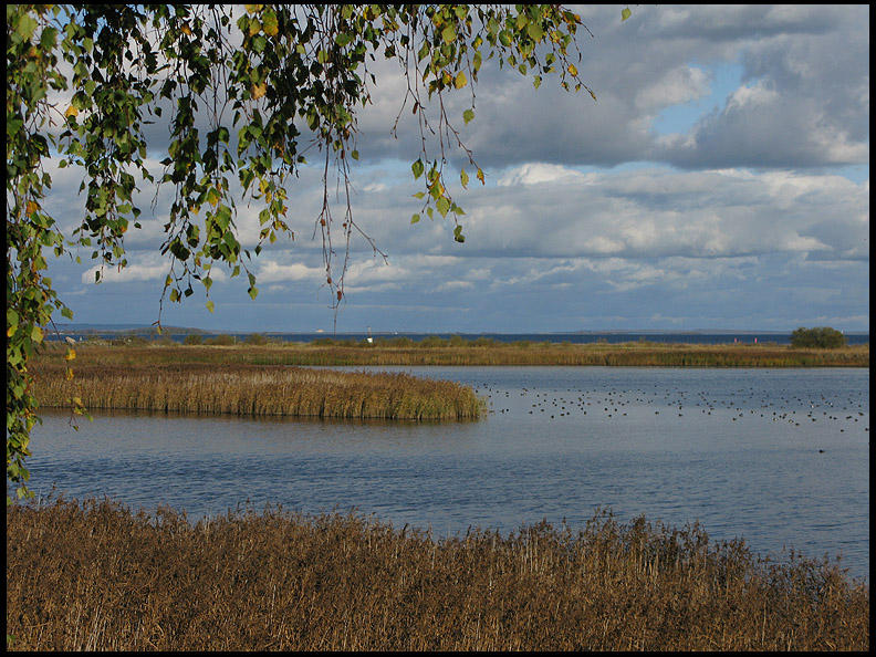 Ahus lagoon.jpg