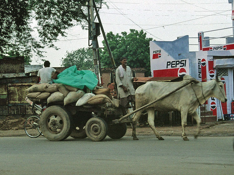 Delhi