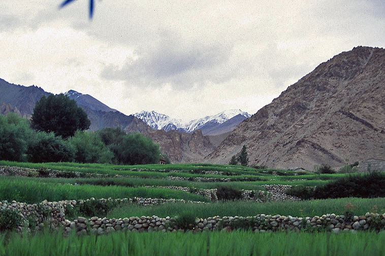 Green valley JPG 