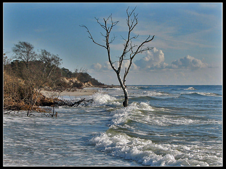 Erosion, south coast Swedenjpg