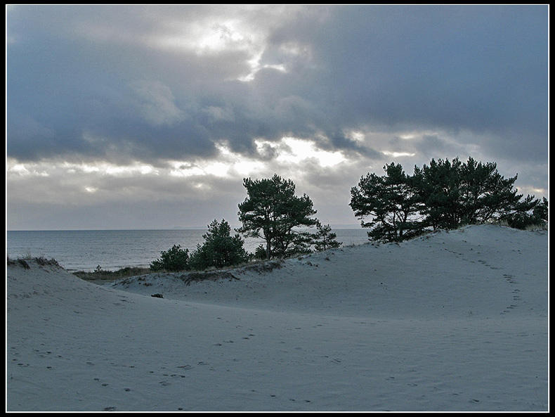 Dark dunes by the Baltic.jpg