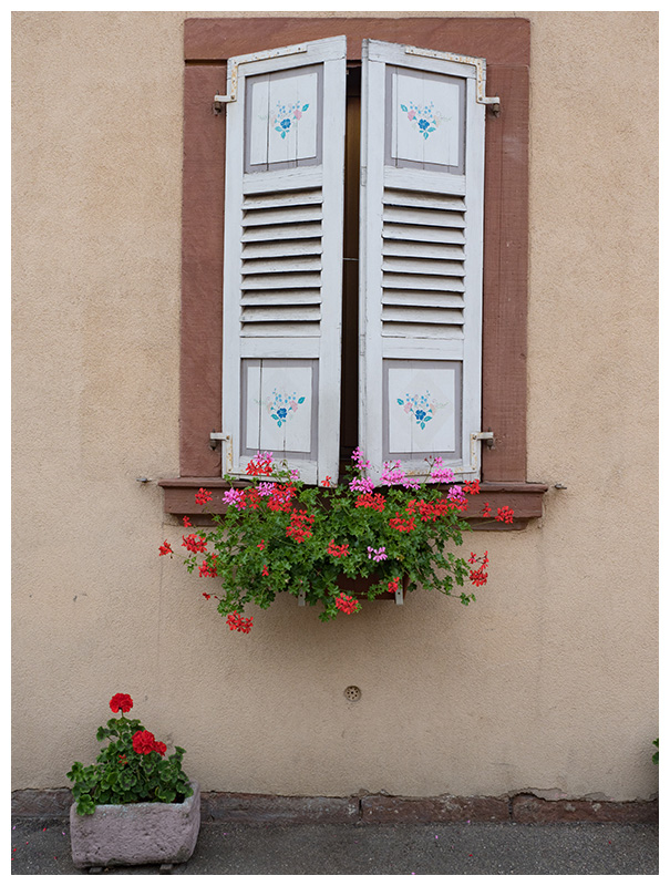 rue de lAgneau