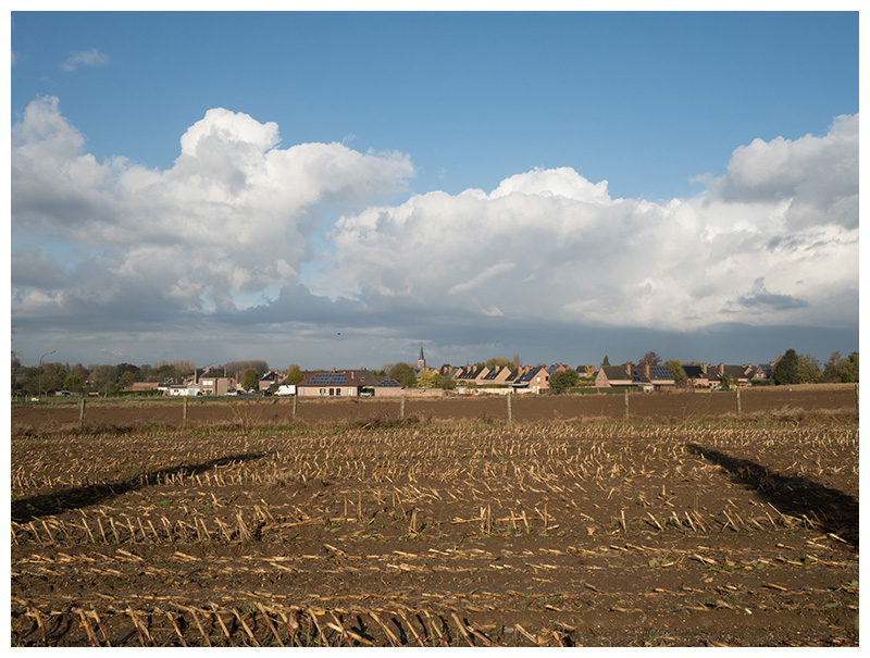 Schonegem