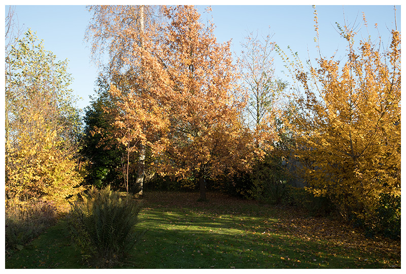 autumn