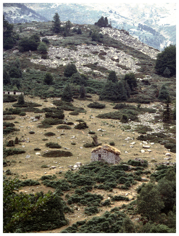 Vallespir