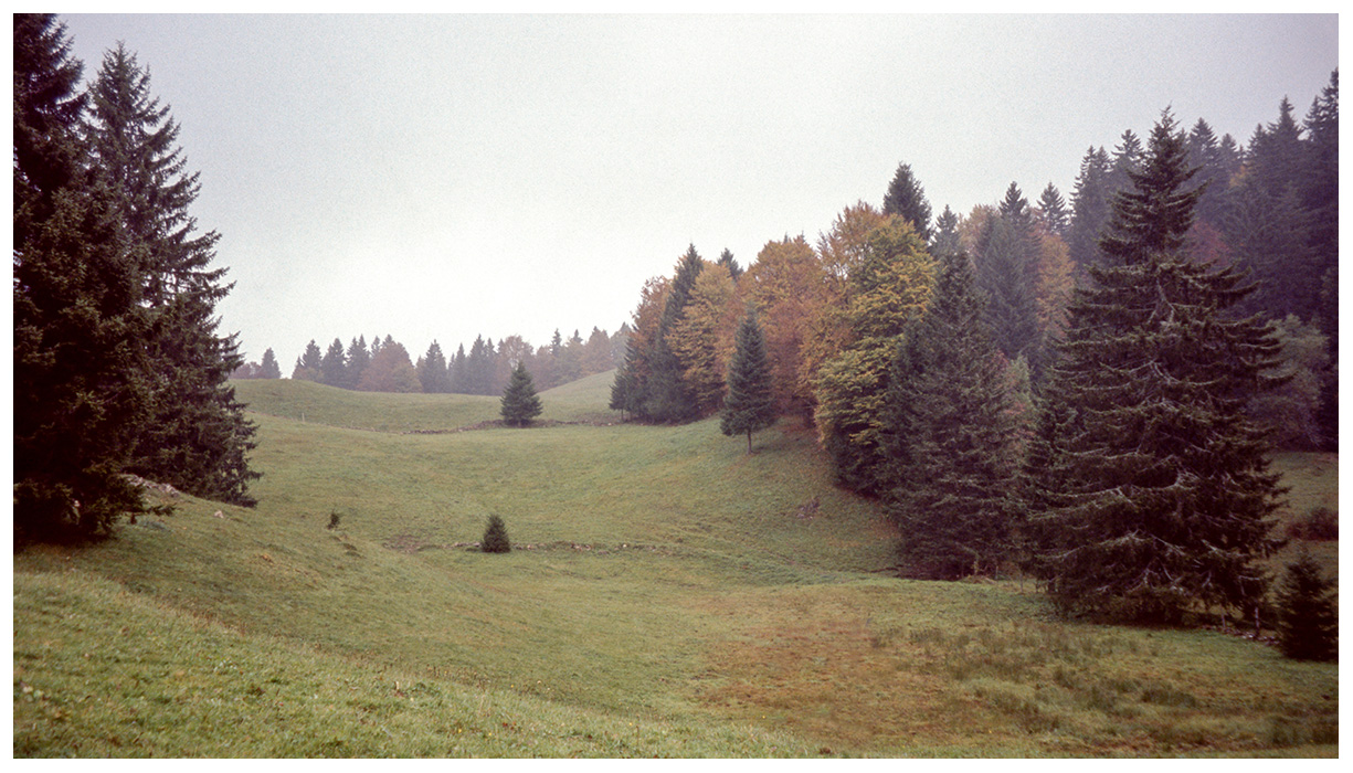 Bellecombe