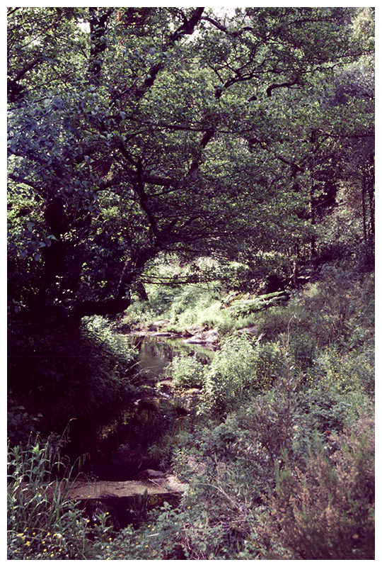 Massif des Maures