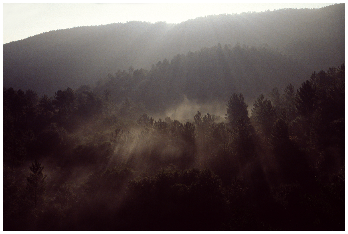 Massif des Maures