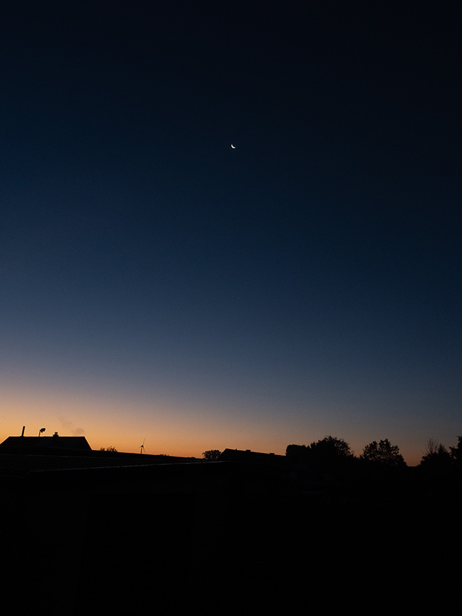 dawn