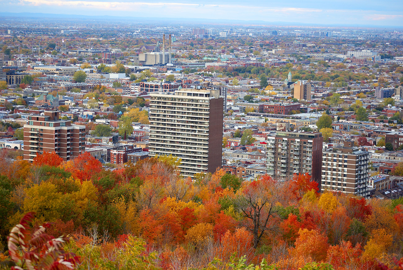 Montreal city