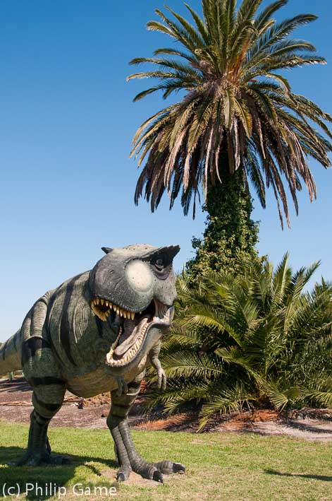 Guardian dinosaurs outside a large garden centre in suburban Braeside