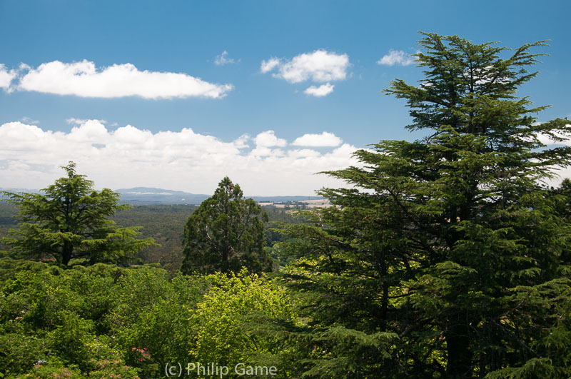 View from the tower on Wombat Hill, Daylesford