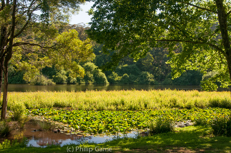 Jubilee Lake, Daylesford