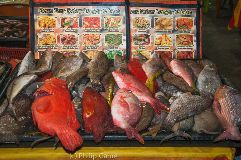 Fresh-caught seafood on offer at the Night Market, Kota Kinabalu