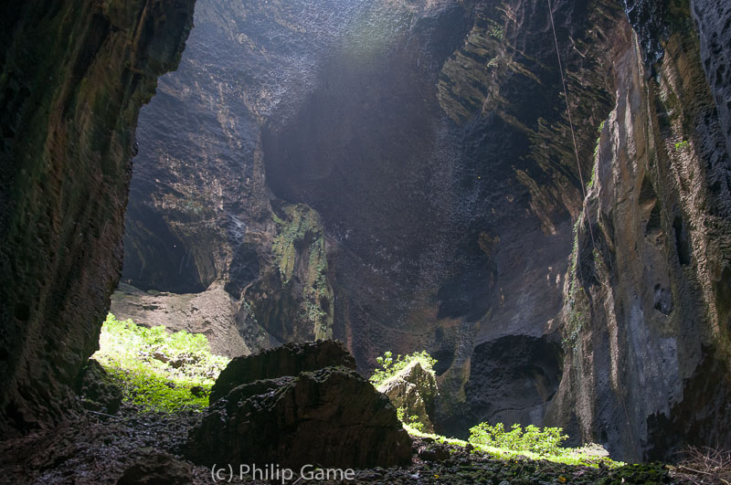 Gomantong Caves, outside Sandakan, Sabah