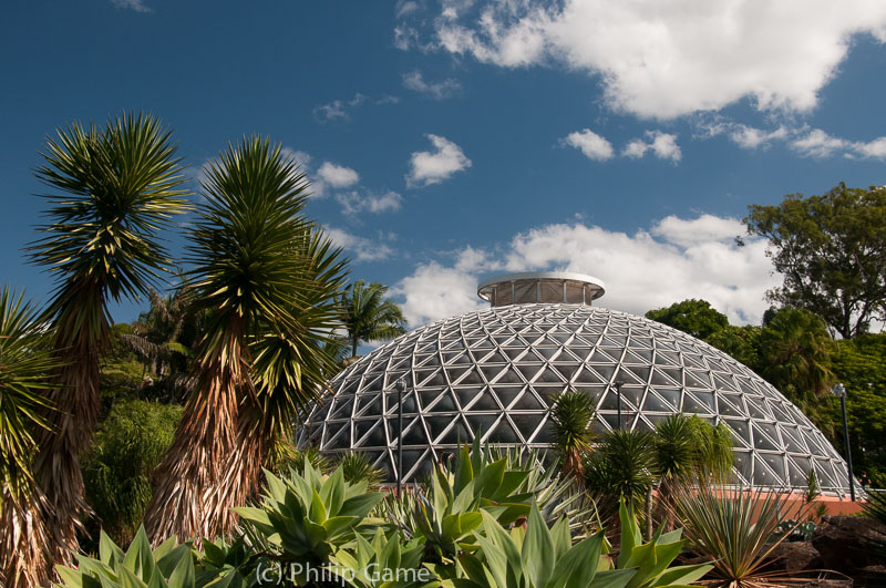 Tropical display dome, Mt Coot-tha Botanic Gardens