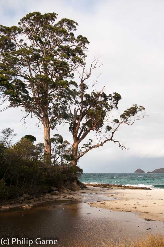 Two Tree Point, Adventure Bay, Bruny Island