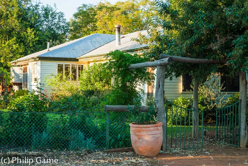 Colac Station homestead, an oasis in the mulga country of western Queensland