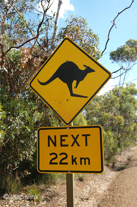 Watch out for Kangaroos - Pas op voor Kangaroes