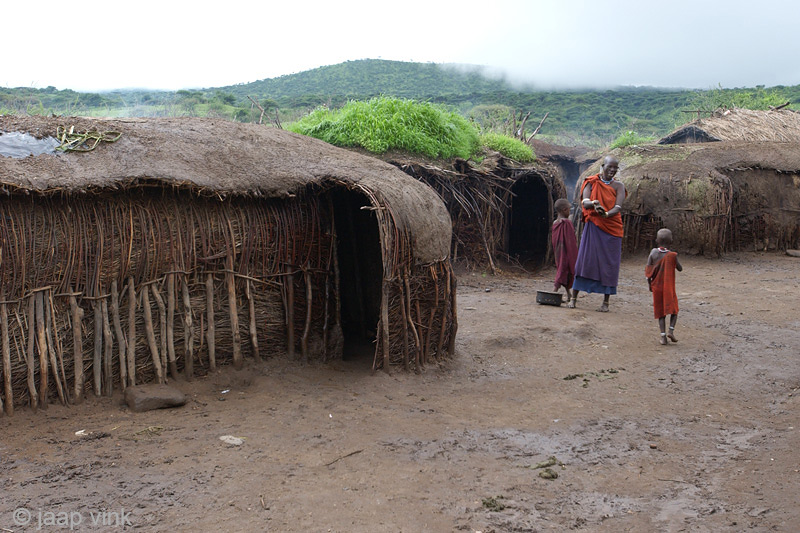 Maasai - Masai