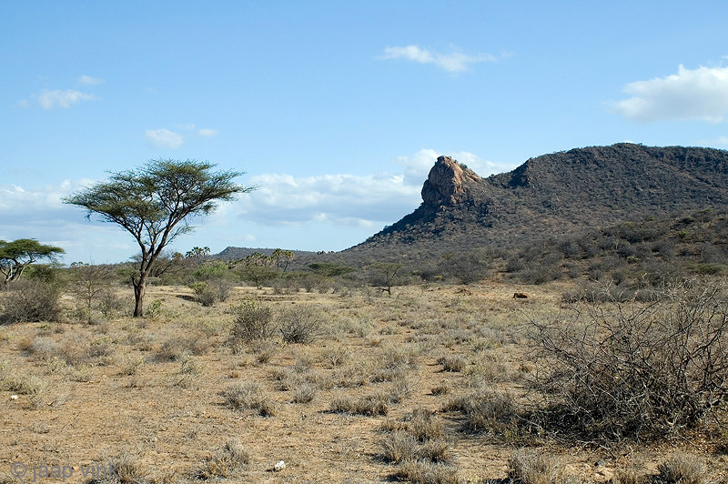 Samburu National Reserve