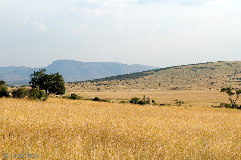 Masai Mara National Reserve