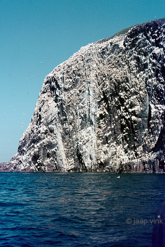 Bass Rock