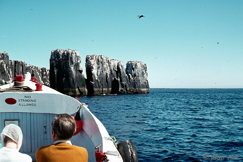 Farne Isles