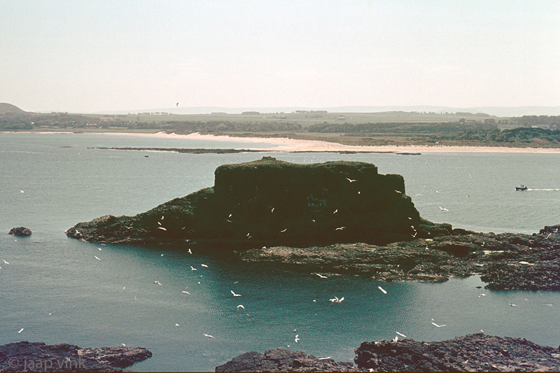 Fidra Isle