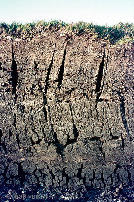 Peat - Turf
