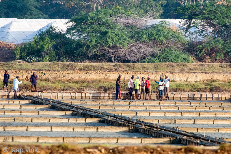 Maintenance at the saltpans - Onderhoud aan de zoutpannen