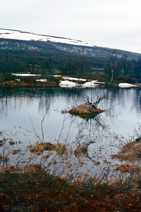 Our flooded trail - Ons ondergelopen traject