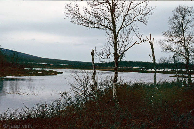 Our flooded trail - Ons ondergelopen traject