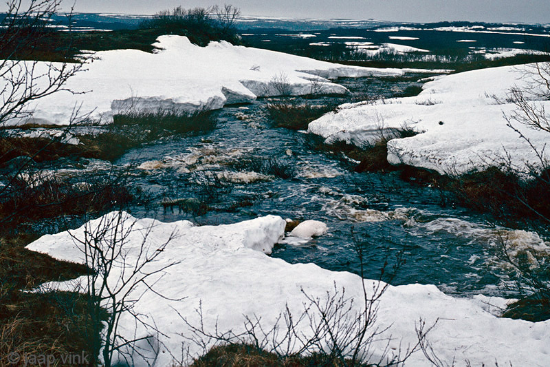 Jakobselva