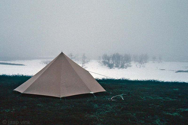 Foggy campsite - Mistige kampeerplek